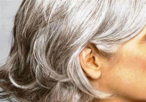 La camomilla può intensificare il biondo o regalare una sfumatura ramata al castano. Capelli bianchi: ecco come coprirli senza fare la tinta