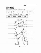 Body Worksheets Coloring Parts Label Worksheet Kids Pages Grade Human Pdf English Name Sheet First Activities Para Search Printables Kindergarten sketch template