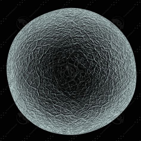 3d model human egg cell microscope