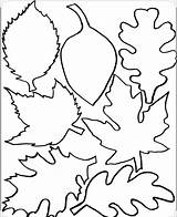 Herbstblätter Herbst Vorlage Vorlagen Blatt Schablone Malvorlagen Bastelvorlagen Fensterbilder sketch template