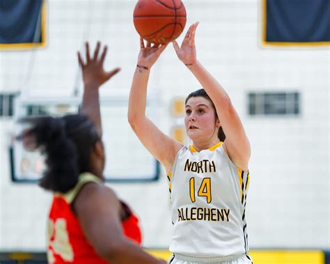 two tigers named all state rachel martindale 1st team selection north allegheny sports network