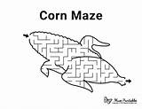 Maze Corn Printable Mazes Worksheet Museprintables Choose Board Sheet Activity sketch template