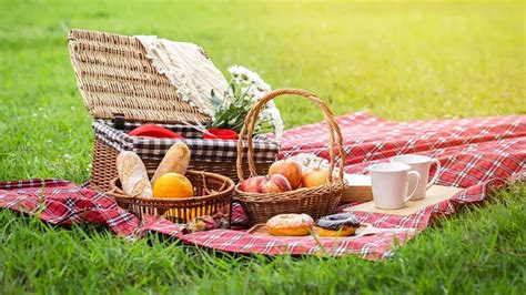 picnic essentials heres  list       perfect