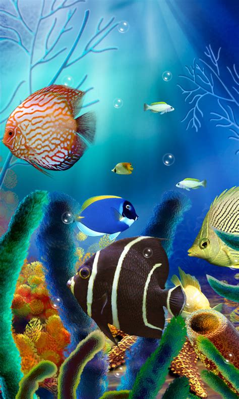 aquarium  wallpaper   android  wallpaper  appraw