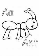 Coloring Ants sketch template