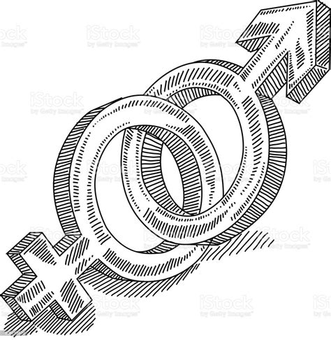 male and female gender symbol drawing stock illustration download