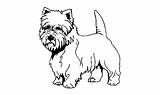 Terrier Cairn Westie sketch template
