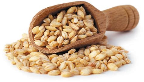 grain   month barley harvard health