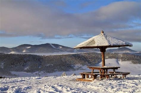 beautiful sunny day  mountain tornik goodmorning serbia