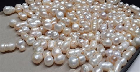 mm rough pearls cultured pearl large freshwater pearl assorted
