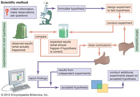 scientific method flowchart scientific method flow chart scientific