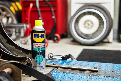 How To Make Your Door Stop Squeaking With Wd 40 Specialist White