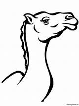 Kleurplaten Kamelen sketch template