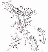 1873 Uberti Cattleman Schematic Target Schematics Brownells Parts Colt Gun Sa Australia Part sketch template