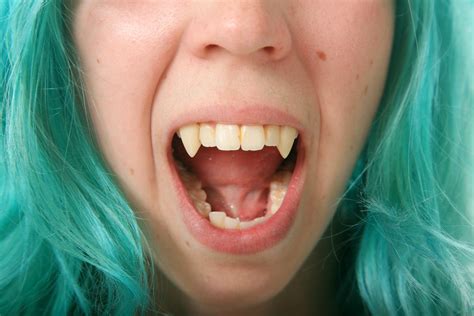 canine teeth called  humans