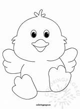 Chick Coloring Chicks Pages Baby Cute Easter Drawing Colouring Chicken Templates Egg Printable Print Color Kids Year Old Chick2 Coloringpage sketch template