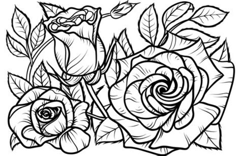 rose coloring page rose coloring pages coloring pages