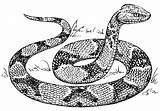 Coloring Copperhead Snake Large sketch template