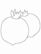 Coloring Pomegranate Getcolorings Pomegranates sketch template