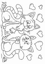 Coloring Valentine Cats Pages sketch template