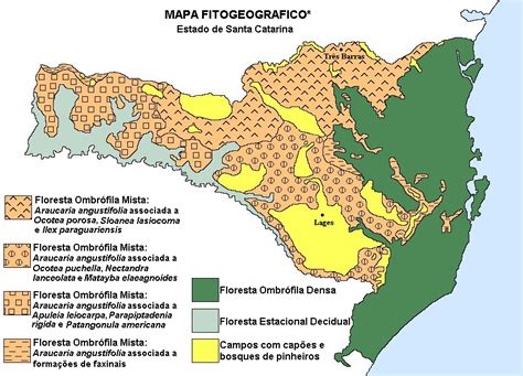 Mapa FitogeogrÁfico Do Estado De Santa Catarina Santa Catarina