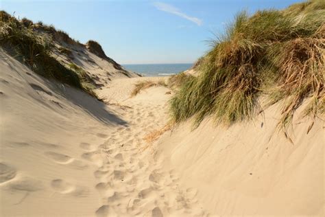 dit zijn de drie groenste stranden van nederland roots magazine