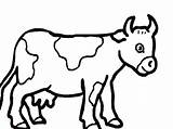 Vacas Pintar Vaca sketch template