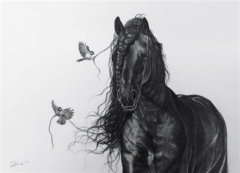 beautiful friesian horse drawing horse art drawing horse drawings