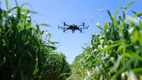 benefits  drone based monitoring  agriculture britannica