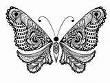 Coloring Pages Adults Butterfly Adult Animals Animal Printable Kids Bestcoloringpagesforkids Folk Uncolored Ornaments Tattoo Lot Sweet Butterflies Vector Abstract Beautiful sketch template