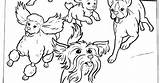 Coloring Dog Pages Dogs sketch template