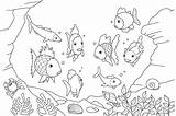 Fish Coloring Pages Kids Colouring Printable Sheets Ocean Drawing Aquarium Colorear Rainbow Para sketch template