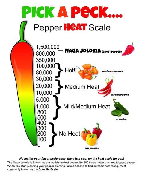 scoville scale bing stuffed peppers pepper scale spice trade