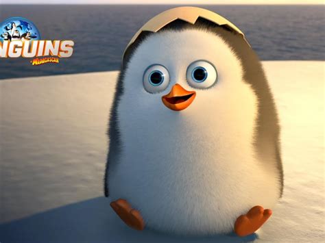 wallpaper blink penguins of madagascar wallpaper hd 10 1920 x 1080 for android windows mac