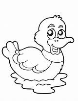 Duck Cartoon Cliparts Coloring Colouring Color sketch template