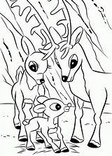Coloring Rudolph Reindeer Pages Nosed Red Printable Parents Color Head Coloring4free Baby Dad Mom Girl Clarice Getcolorings Luna Print Rocks sketch template