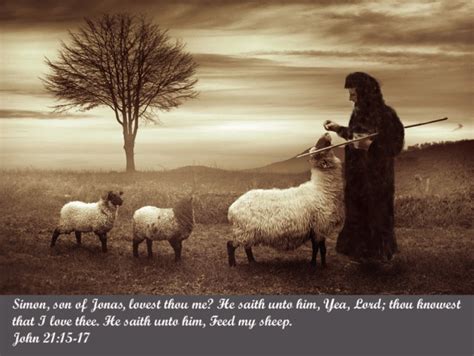 feed  sheep real talk broadcast network llc spiritual content