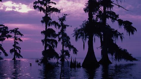 bayou sunset louisiana landscapes purple sky