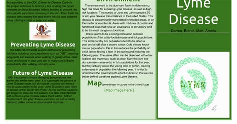 lyme disease brochure template google docs