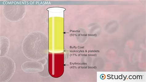 liquid part   blood  called studycom