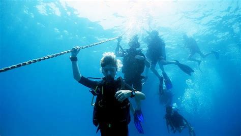 al boom diving fujairah united arab emirates top tips    tripadvisor