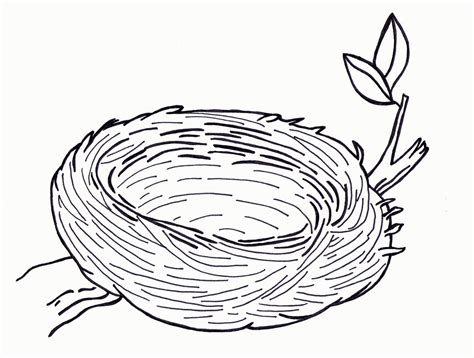 birds nest coloring pages printable coloring pages   ages