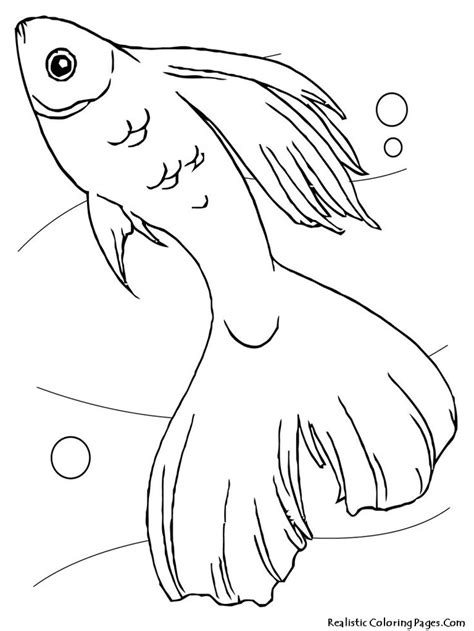 realistic pictures  fish coloring pages