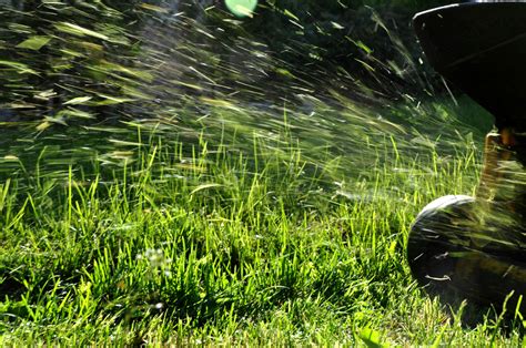 grass clippings good   lawn lawn doctor blog