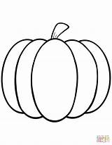 Coloring Pumpkin Pages Simple Printable Drawing Paper sketch template