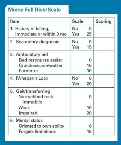 solved   morse fall risk scale  exhibit  nurse