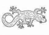 Gecko Malvorlage Ausmalen Kinderbilder sketch template