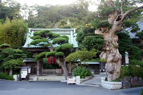 hasedera temple kamakura japan visions  travel