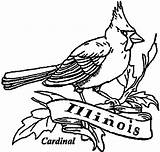 Coloring Cardinal Illinois Bird Red Printable Getcolorings Getdrawings Pages Color sketch template