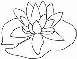 Lilies Lilly Cliparts Appealing Getdrawings Webstockreview sketch template